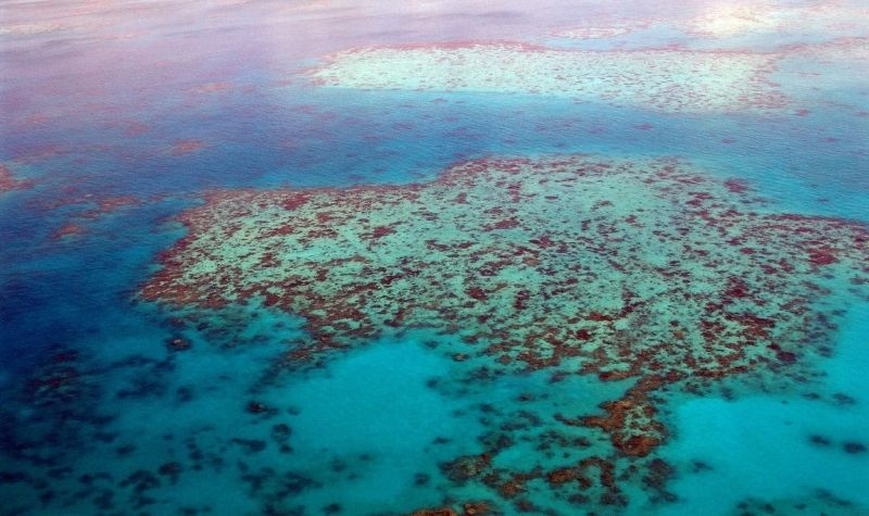 marea-bariera-de-corali-australia-top-destinatii
